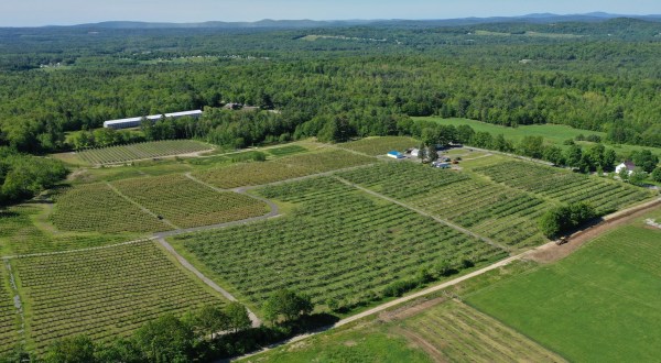 You Can Pick The Most Delicious Berries All Summer Long At This Maine Orchard