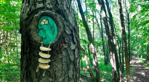 New York’s Newest Fairy Trail Will Take You On An Enchanting Outdoor Adventure