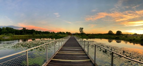 The Boardwalk Hike In Kentucky That Leads To Incredibly Scenic Views