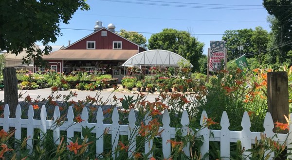 This Enormous Roadside Farmers Market In Connecticut Is Too Good To Pass Up