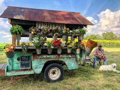 The Traveling Flower Truck In Kentucky You'll Be Delighted To Track Down