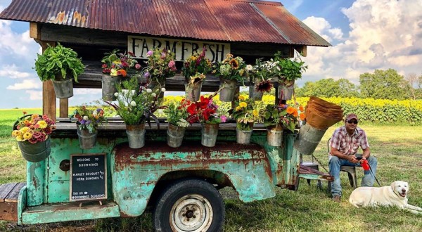 The Traveling Flower Truck In Kentucky You’ll Be Delighted To Track Down