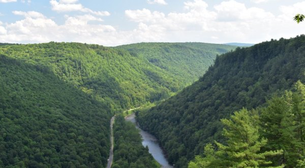 The Deep Green Gorge In Pennsylvania That Feels Like Something Straight Out Of A Fairy Tale