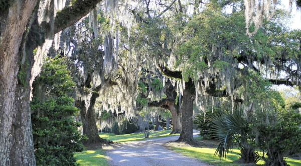The One Town In Louisiana Everyone Must Visit Before Summer’s Over