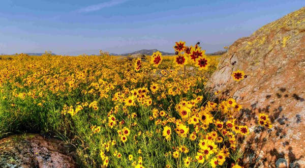 This Oklahoma Trail Is Brimming With Wildflowers And Now Is The Best Time To Hike It