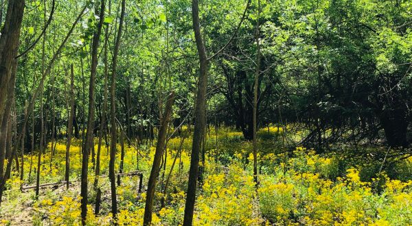 The Magnificent Overlook In Kansas That’s Worthy Of A Little Adventure