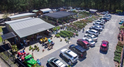This Enormous Roadside Farmers Market In Mississippi Is Too Good To Pass Up