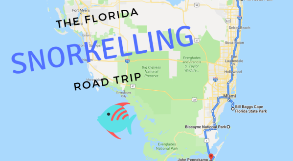 Take This One-Of-A-Kind Snorkeling Road Trip In Florida For The Ultimate Summer