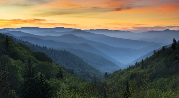 Here’s How You Can Avoid The Crowds When You Visit Great Smoky Mountains National Park