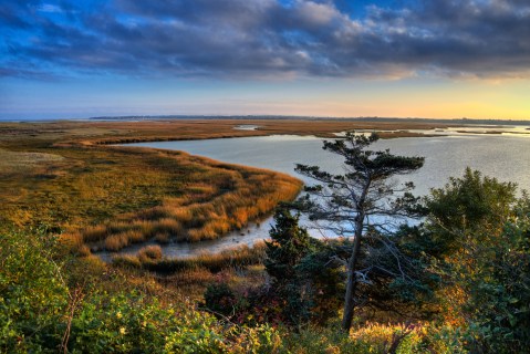 This Seaside Marsh In Massachusetts Is An Otherworldly Hiking Spot