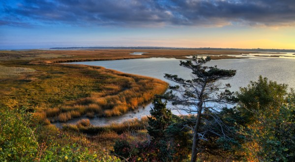 This Seaside Marsh In Massachusetts Is An Otherworldly Hiking Spot