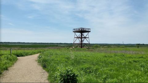 The Observation Tower At This 3,000-Acre Park Will Show You Illinois Like Never Before