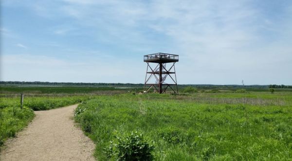 The Observation Tower At This 3,000-Acre Park Will Show You Illinois Like Never Before