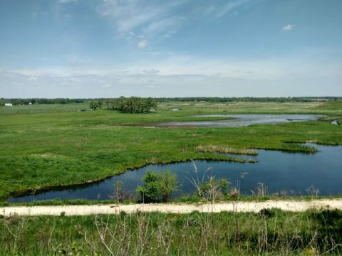 This 3,500 Acre Wetlands Park Is One Of The Most Beautiful Places In Illinois