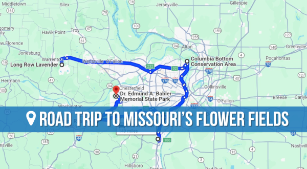 Take This Road Trip To The 5 Most Eye-Popping Flower Fields In Missouri
