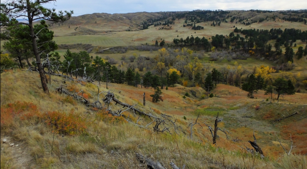 Explore Nebraska’s Untouched Wilderness In This Area Where Vehicles Are Forbidden