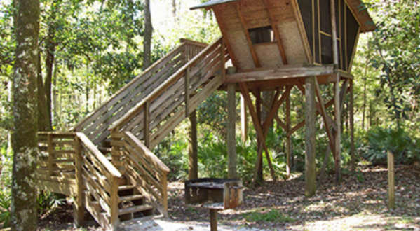 You Can Sleep In A Treehouse In This Historic 150-Acre Park In Florida