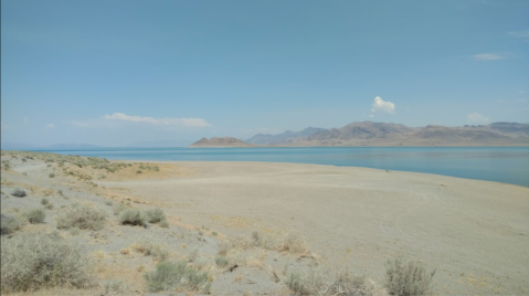 The Underrated Sandy Beach In Nevada You Absolutely Need To Visit