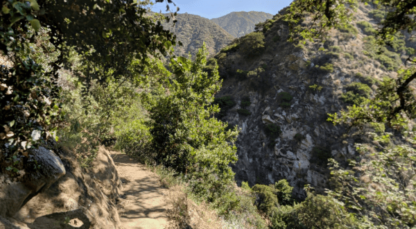 This 3.5-Mile Hike In Southern California Takes You Through An Enchanting Forest