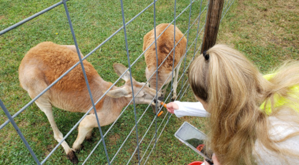 The Small Town Petting Zoo In Michigan That’s Worthy Of A Road Trip