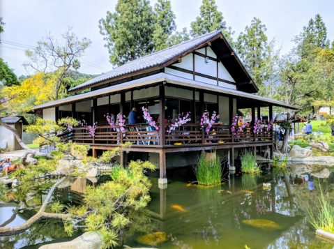 Few People Know There’s A Peaceful Japanese Tea Garden Hiding Right Here In Southern California