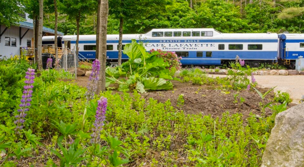 Step Back In Time With A Journey On This Incredible Dinner Train Through New Hampshire