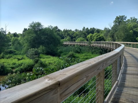 Virginia's Newest Boardwalk Trail Will Take You On A Scenic Creekside Adventure