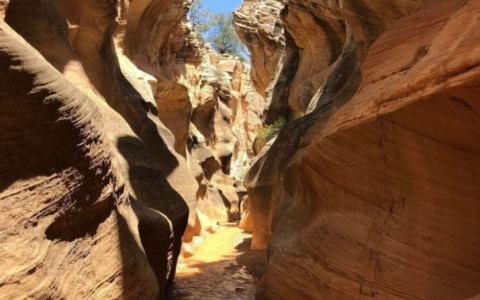 Hike Through Utah's Rock Maze For An Adventure Like No Other