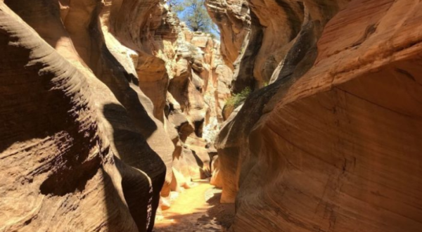 Hike Through Utah’s Rock Maze For An Adventure Like No Other