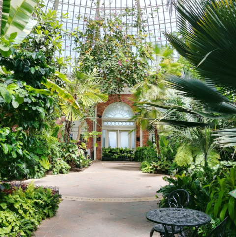 The Beautiful Buffalo & Erie County Botanical Gardens Are A Sight To Be Seen