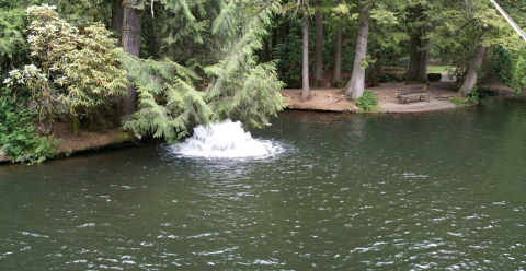 The Pretty Pond In Oregon Where You're Guaranteed To Catch A Trout