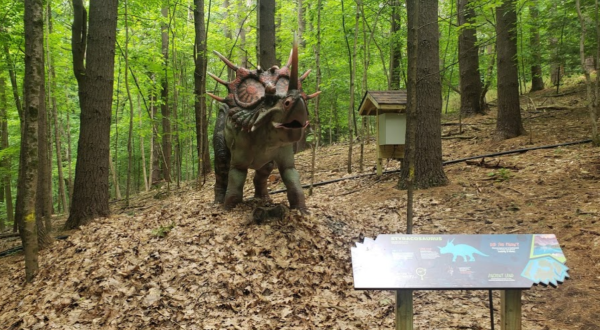 Walk With The Dinosaurs At This Prehistoric Park In New York