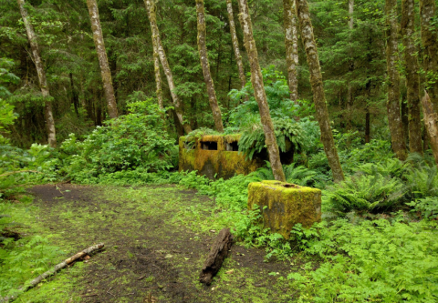Hike This Oregon Trail For A Slice Of World War II History