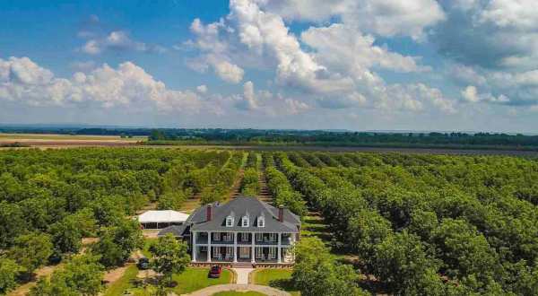 Surround Yourself In 5,000 Pecan Trees At This Charming Arkansas Plantation
