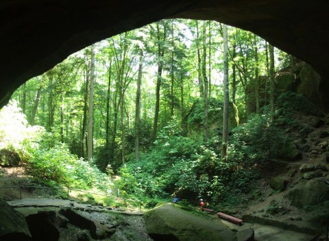 The Beautiful Natural Bridge In Alabama That's So Worth Seeking Out