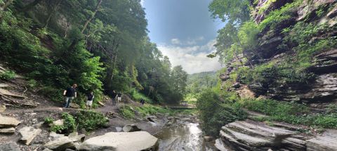 The Hike To This Pretty Little West Virginia Waterfall Is Short And Sweet