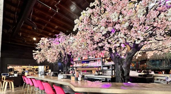 Dine Under An Enchanting Cherry Blossom Tree At This Magical Southern California Eatery