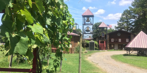 There's No Place Better To Relax In Arkansas Than At This Vineyard B&B