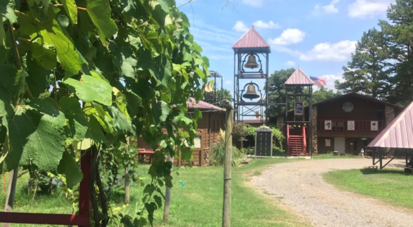 There’s No Place Better To Relax In Arkansas Than At This Vineyard B&B