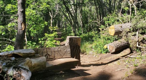 This Beautiful And Scenic Trail In New Mexico Is Perfect For Beginners