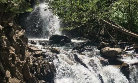 The Nevada Trail That Leads To A Waterfall Is Heaven On Earth