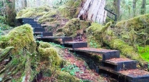 Take This Easy Little Hobbit’s Trail To A Secret Waterfall