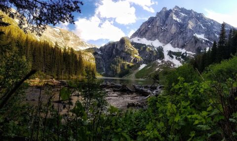 This 11-Mile Hike In Montana Takes You Through An Enchanting Forest