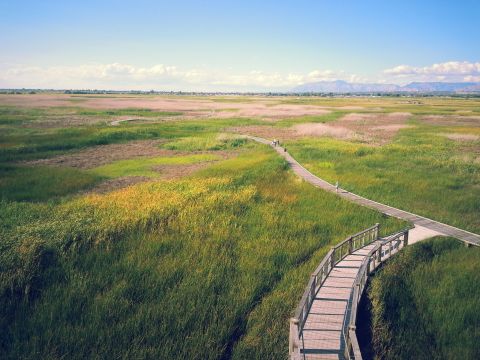 This Utah Park Has Endless Boardwalks And You'll Want To Explore Them All