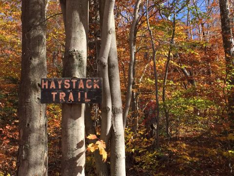 This 4-Mile Hike In Vermont Takes You Through An Enchanting Forest