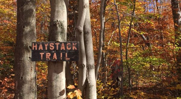This 4-Mile Hike In Vermont Takes You Through An Enchanting Forest