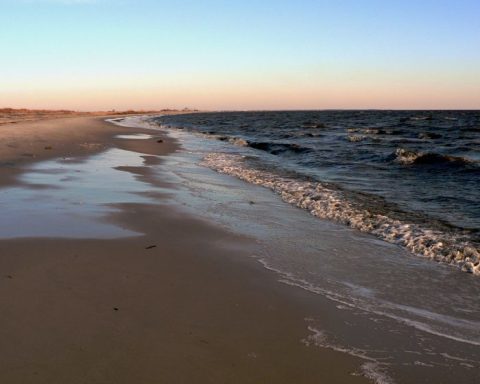Sneak Away To These 8 Secret Bayside Beaches In Delaware To Escape The Crowds