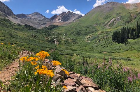 This Colorado Trail Is Brimming With Wildflowers And Now Is The Best Time To Hike It