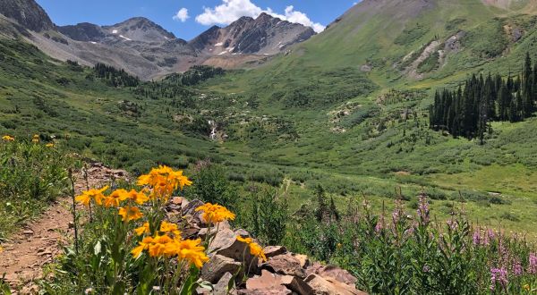 This Colorado Trail Is Brimming With Wildflowers And Now Is The Best Time To Hike It