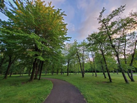 The Hiking Trail Hiding Near Detroit That Will Transport You To Another World